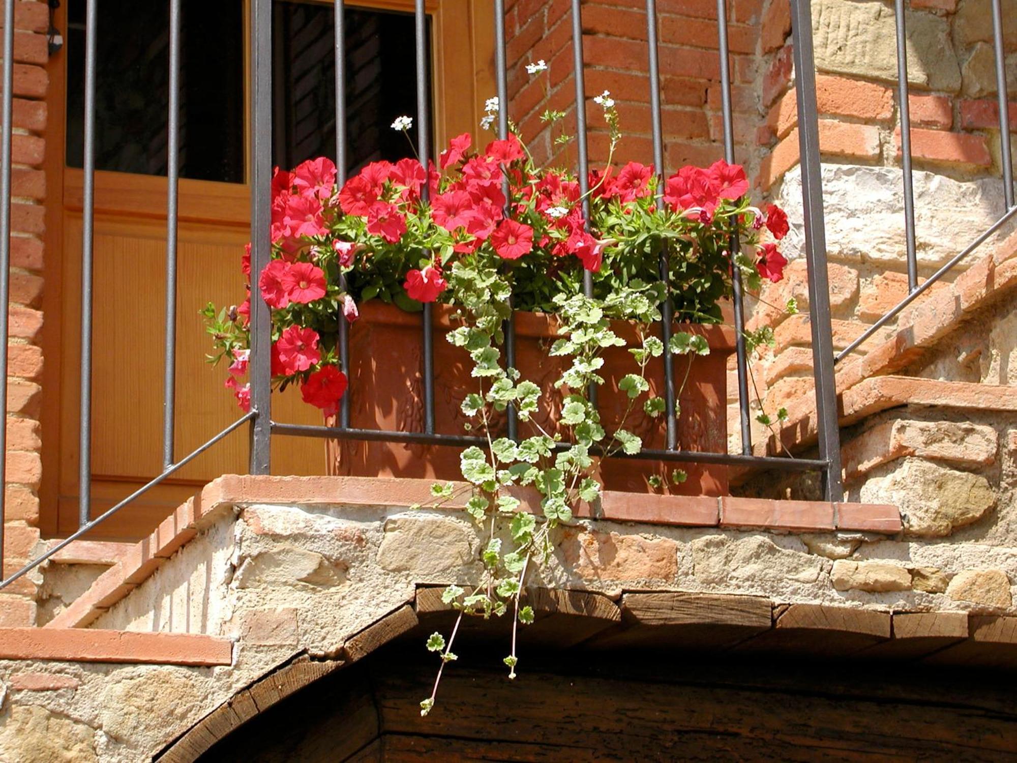 Ventena Vecchia Antico Frantoio Montevarchi Ngoại thất bức ảnh