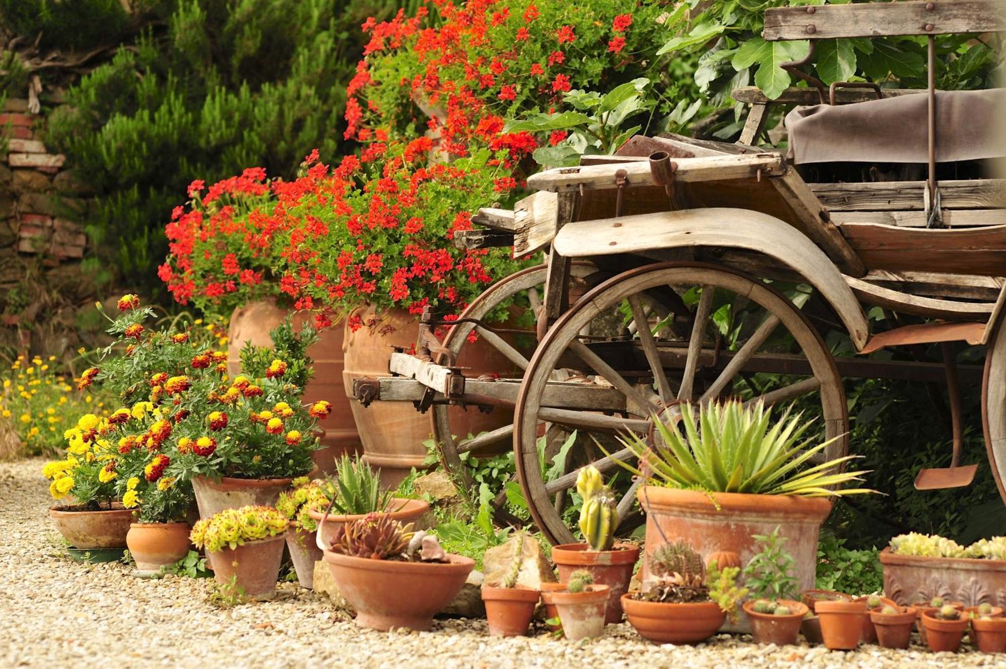 Ventena Vecchia Antico Frantoio Montevarchi Ngoại thất bức ảnh
