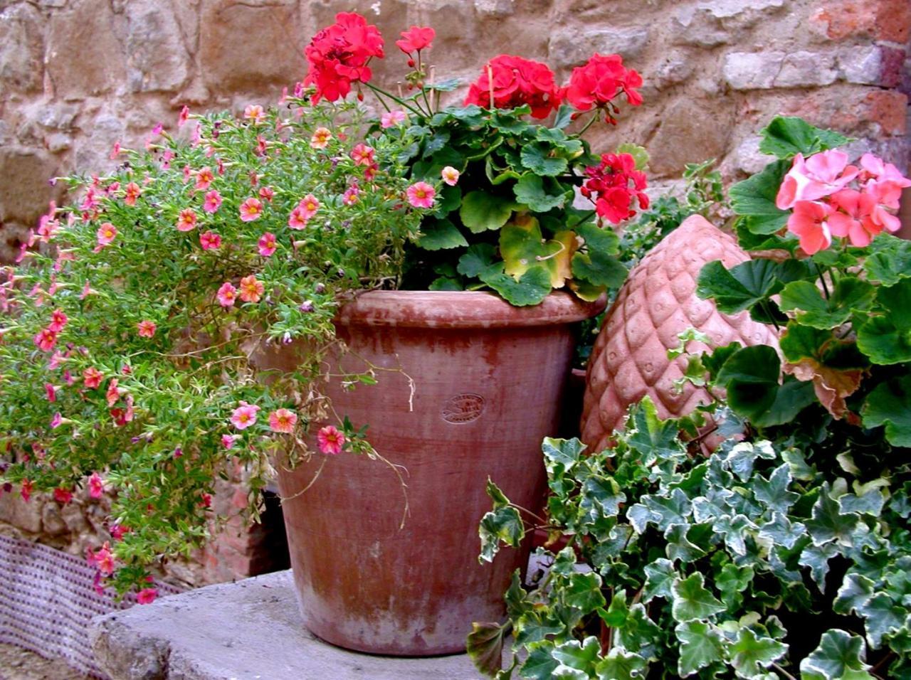 Ventena Vecchia Antico Frantoio Montevarchi Ngoại thất bức ảnh